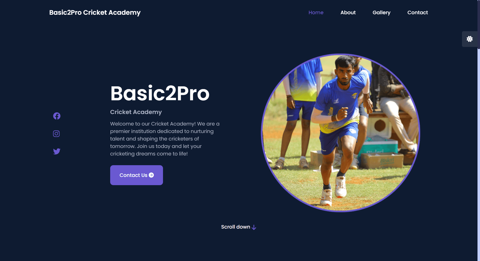 Basic2Pro Cricket Academy